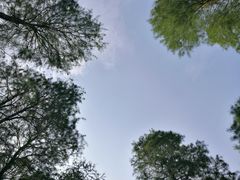 -月湖风景区