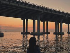 -宝安西湾红树林湿地公园