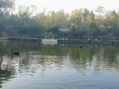 -溱湖国家湿地公园