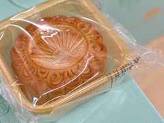 -新加坡文华东方酒店