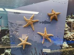 -上海中国航海博物馆