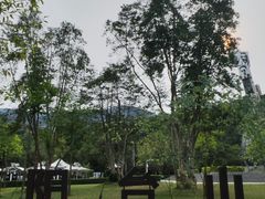 -阳台山森林公园