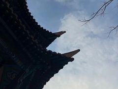 -戏马台景区