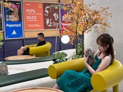 -帕帕拉兹宠物(亚洲旗舰店)