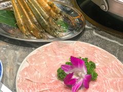-禄婶鸡煲·打边炉