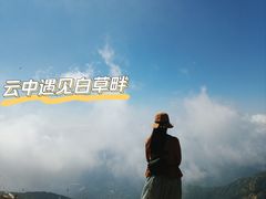 -白草畔自然风景区