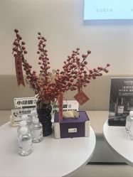-小忠丽格医美