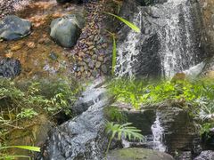 -水濂山森林公园