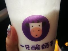 -一只酸奶牛(八一路店)