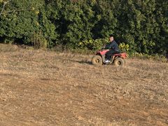 -梁子湖东篱老屋生态庄园