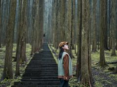 -武陵山森林公园