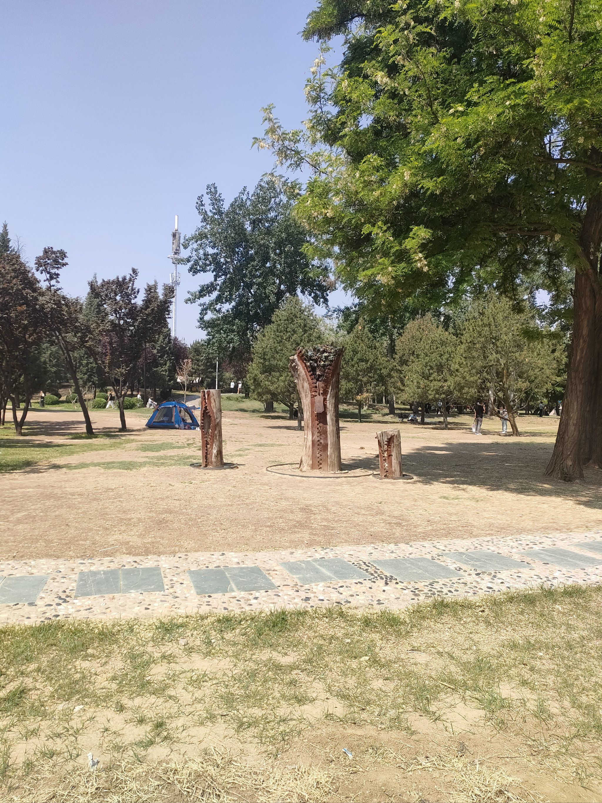 天天领红包 
 交通:可以选择公交,打车或者自驾前往保定植物园.