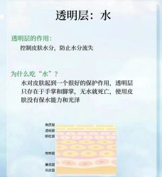 点击看大图 -玛莲朵·海菲秀冰珀科