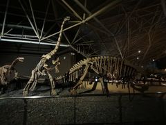 -世界恐龙谷景区