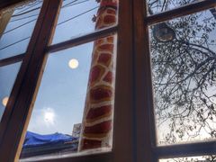 长颈鹿咖啡(大学路店)-长颈鹿咖啡(大学路店)