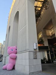 -紫琪尔胸部养护中心