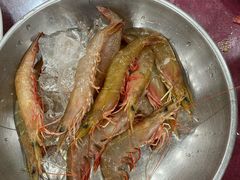 -西涌国际滨海旅游区