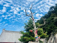 -华山风景名胜区