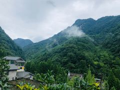 -张醪糟