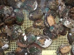 -浪琴湾尾角仔海鲜坊