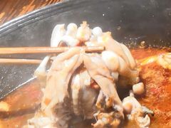 -老天桥蛙炉火锅(姑苏总店)