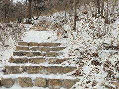 -北京西山国家森林公园