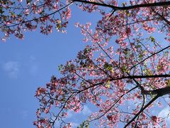 -晓港公园