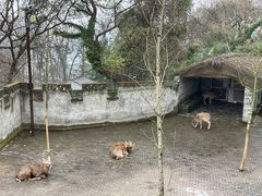 -台州府城(江南长城)
