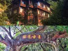 -南海湾森林生态园