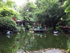同庆堂-同庆堂(解放北路店)