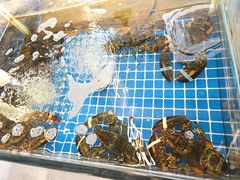 -启博美食城(孟家店)