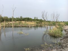 -绿堤公园