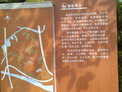 -滴水岩森林公园