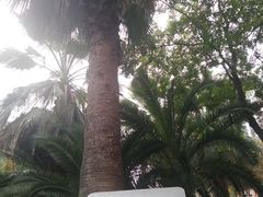 -苏州河梦清园环保主题公园