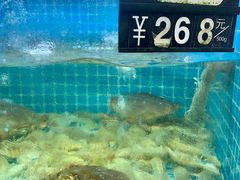 水产区-大金山酒店