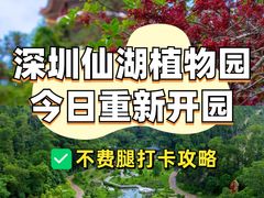 -深圳仙湖植物园