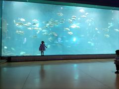 -福州罗源湾海洋世界旅游区