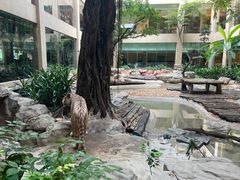 -麒麟中餐厅·经典粤菜·地道菜式老字号(广州长隆酒店)
