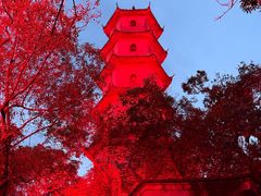 -江心屿景区