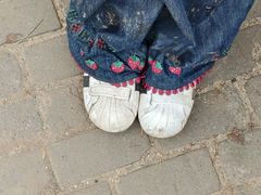 -鲁山国家森林公园