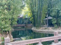 -望江楼公园