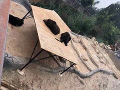 -昆明动物园