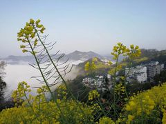 -石潭村