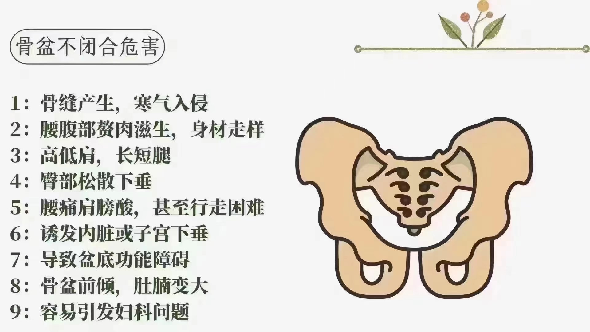 骨盆修复名称(骨盆修复项目简介)