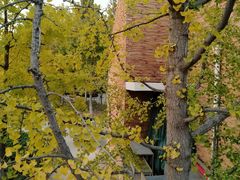 -大兴滨河森林公园