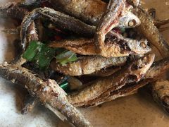 -印象鲵宴·张家界地标美食名片(溪布街店)