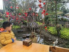 -青城甲(青城山店)