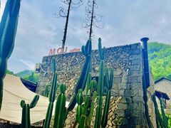 -MOJ coffee(瓯海泽雅水碓坑店)