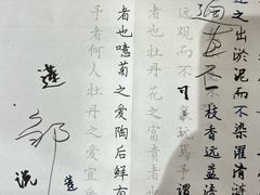 -猫的天空之城概念书店(苏州诚品店)