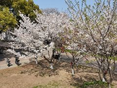 -苏州大学(天赐庄校区)